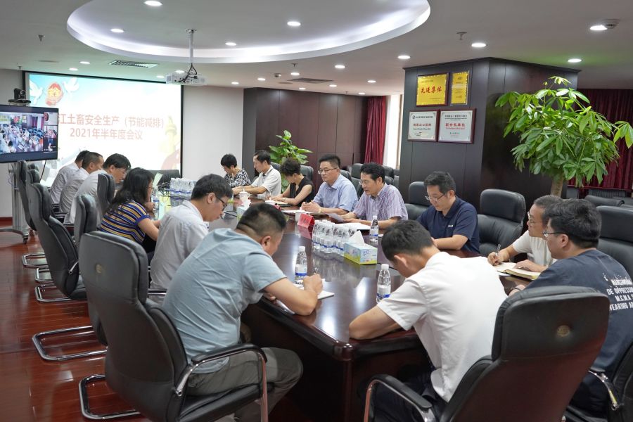 1629964516415341VEXE.jpg 1.jpg